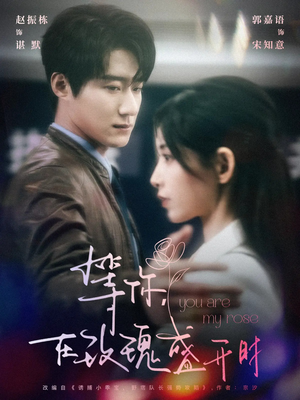 等你在玫瑰盛开时（80集） 火爆短剧推荐
