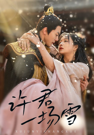 许君一场雪(43集) 许君一场雪(43集)在线免费观看
