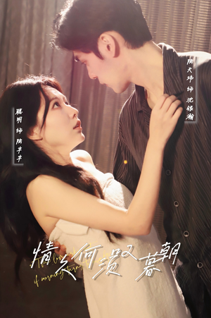 情久何须叹暮朝（61集） 爆款热门短剧