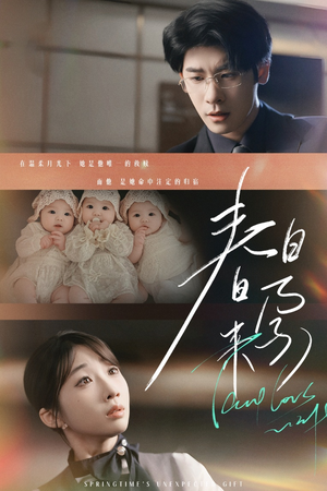 你比星河璀璨（60集） 免费观看