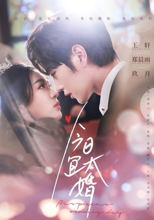 今日宜大婚（59集） 免费短剧看全集