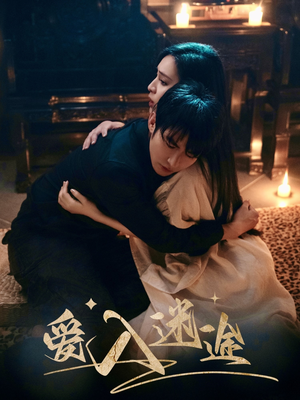 爱入迷途(67集) 爱入迷途(67集)免费在线看