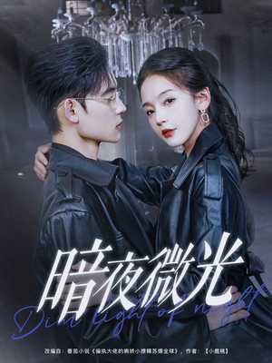 暗夜微光(86集) 暗夜微光(86集)短剧有好货推荐