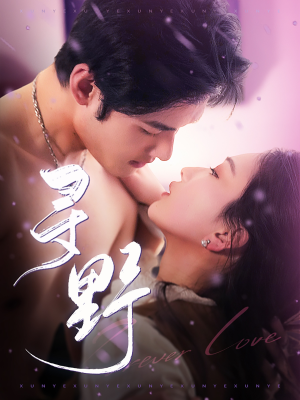 寻野(100集) 寻野(100集)短剧全集更精彩