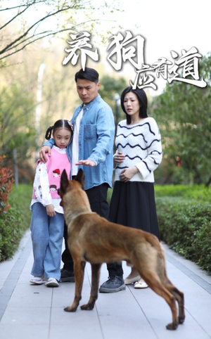 养狗应有道(60集) 养狗应有道(60集)精彩短剧看不停