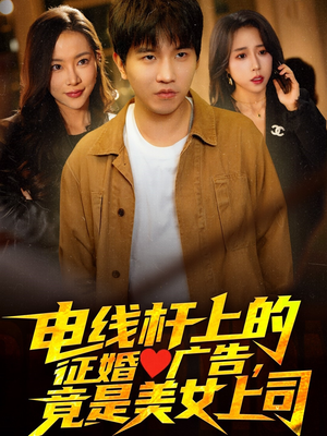 电线杆上的征婚广告，竟是美女上司（90集）最火短剧推荐