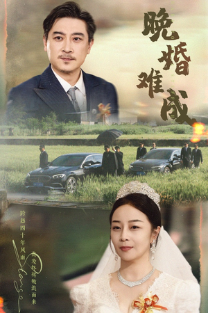 晚婚难成（60集）短剧免费看全集