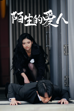 陌生的爱人(60集) 陌生的爱人(60集)好看上头的短剧