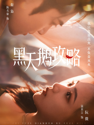 黑天鹅攻略(65集) 黑天鹅攻略(65集)温柔追捕短剧