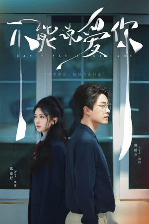 不能说爱你（64集）哪个网站可以看