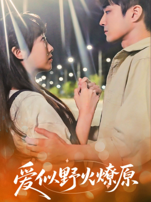 爱似野火燎原(47集) 爱似野火燎原(47集)最后一集