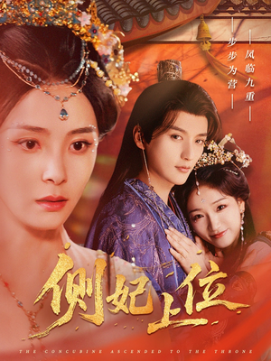 侧妃上位(80集) 侧妃上位(80集)评价怎么样