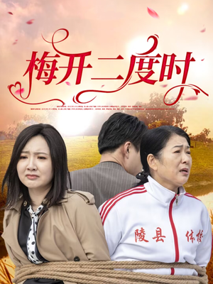 梅开二度时(55集) 梅开二度时(55集)第三季