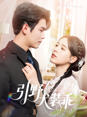 引野犬装乖(61集) 引野犬装乖(61集)短剧追不停