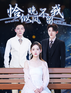 恰似晚风不留我(51集) 恰似晚风不留我(51集)常回家看看短剧