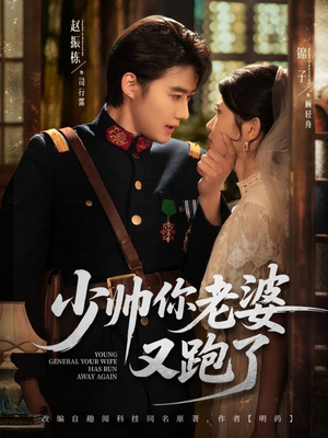 少帅你老婆又跑了（82集）热门短剧在线看