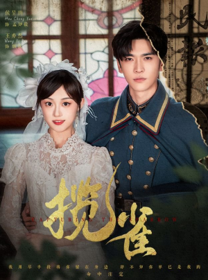 揽雀(61集) 揽雀(61集)太好看了短剧