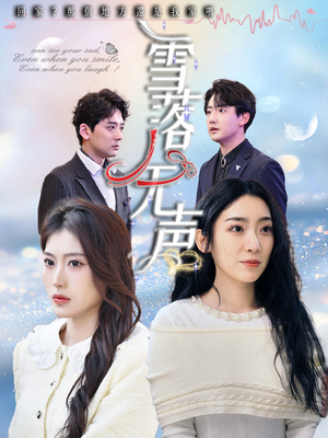 雪落无声（50集）完整版