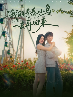 我的青春小鸟一去再回来（95集）更新时间