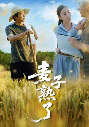 麦子熟了(52集) 麦子熟了(52集)短剧分享片段