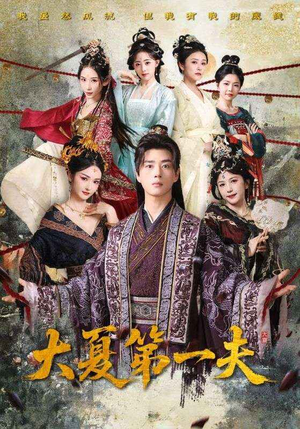 大夏第一夫（90集）真的太好看了