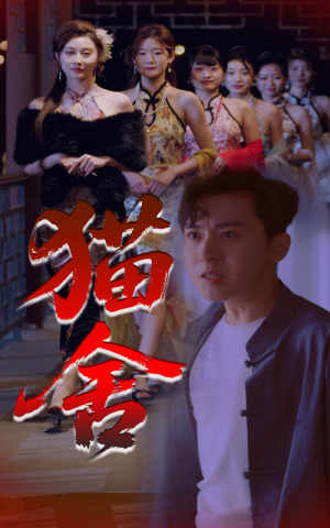 猫舍（34集）免费看全网短剧