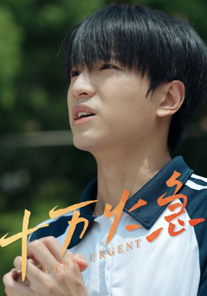 十万火急(30集) 十万火急(30集)追短剧太上头了