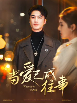 当爱已成往事(30集) 当爱已成往事(30集)红果免费短剧