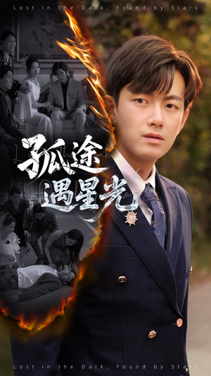 孤途遇星光(55集) 孤途遇星光(55集)全集