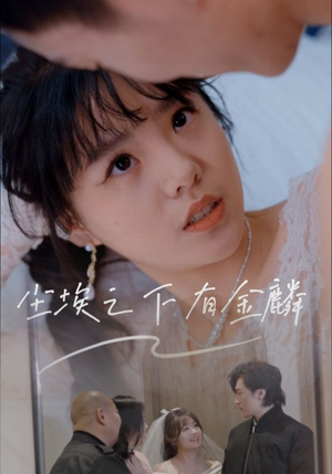 尘埃之下有金鳞（60集）全集免费观看