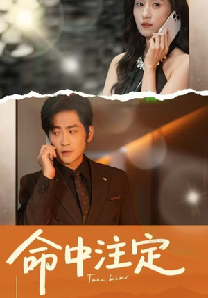 命中注定（33集）男频短剧推荐