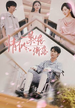 情似繁花渐落（62集）短剧每日分享