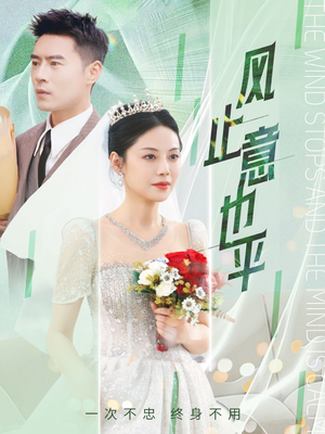 风止意也平（41集）真的太好看了