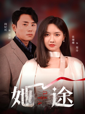 她途（48集）精彩热门短剧