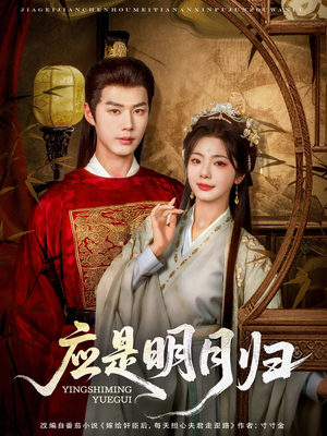 应是明月归（93集）短剧热门推荐