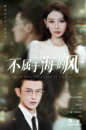 不属于海的风（40集）热播短剧排行榜