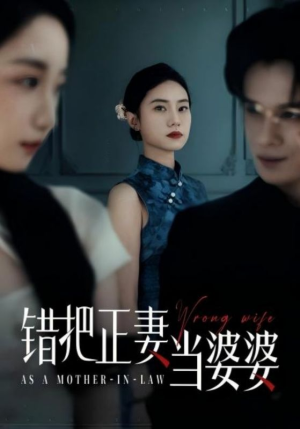 错把正妻当婆婆(46集) 错把正妻当婆婆(46集)番茄短剧看全集