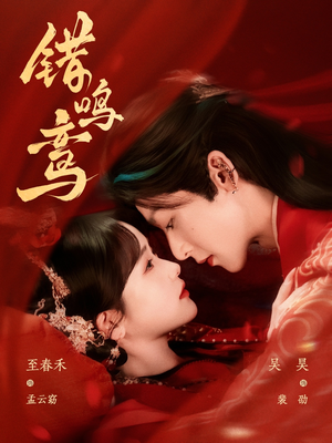 错鸣鸾(75集) 错鸣鸾(75集)爆火短剧追不停