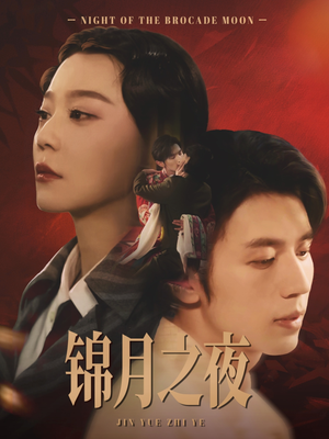 锦月之夜(79集) 锦月之夜(79集)剧情简介