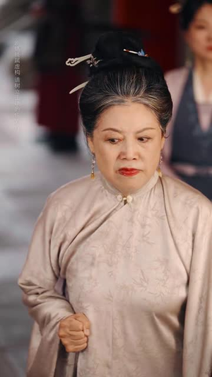 雪落又逢君(78集) 雪落又逢君(78集)全部免费看全集