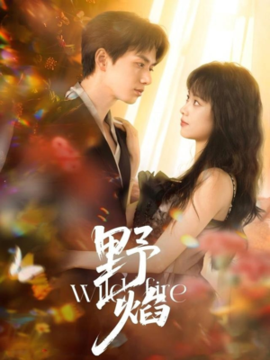 野焰(60集) 野焰(60集)热门短剧分享