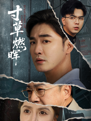 寸草燃晖(70集) 寸草燃晖(70集)全集下载