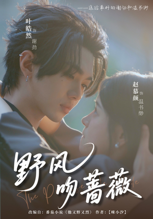 野风吻蔷薇(78集) 野风吻蔷薇(78集)高清无码免费看