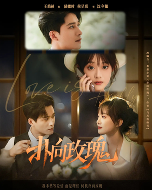 扑向玫瑰（77集）不用花钱看全剧