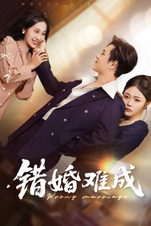 错婚难成（45集）短剧免费分享