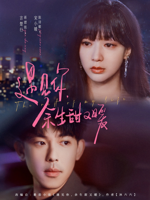 遇见你余生甜又暖(70集) 遇见你余生甜又暖(70集)好看吗