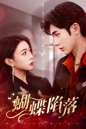 蝴蝶陷落（60集）百度网盘在线看