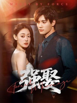 强娶（80集）热播古装短剧