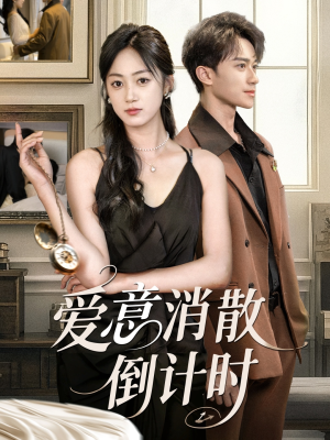 爱意消散倒计时（35集）演的怎么样