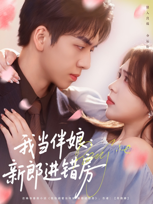 我当伴娘新郎进错房（94集）在线免费观影